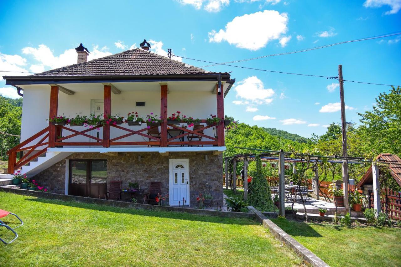 Casa Dafin Tekija - Kladovo *